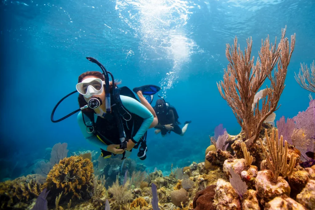 best scuba diving packages in goa